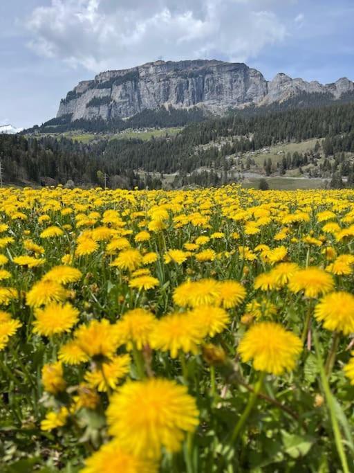 Wohnung Mit Fantastischer Aussicht Trin Kültér fotó