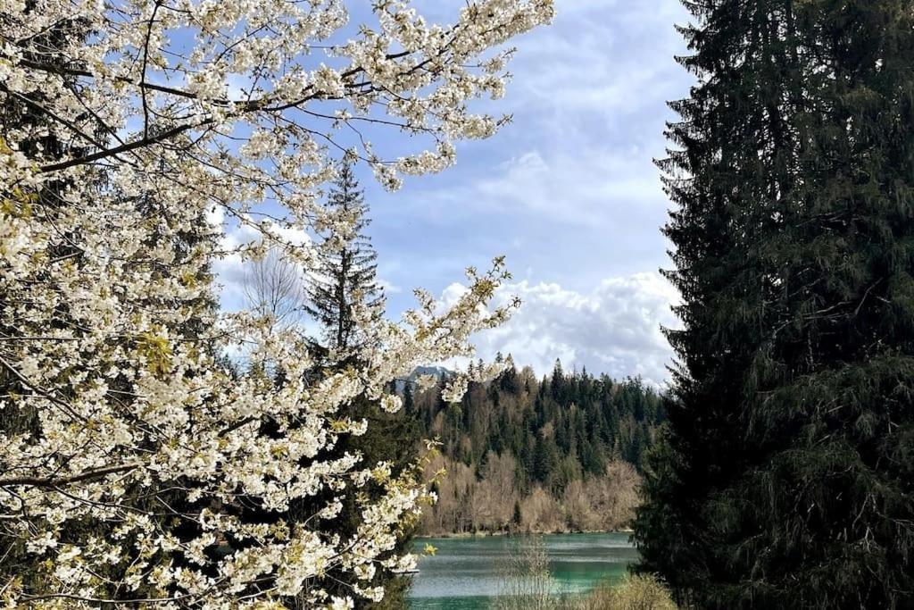 Wohnung Mit Fantastischer Aussicht Trin Kültér fotó